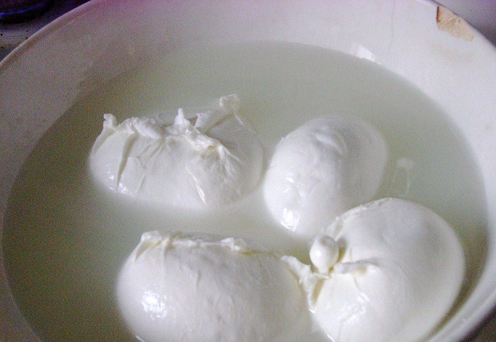Kendi suyunda bekleyen taze mozzarella topları
