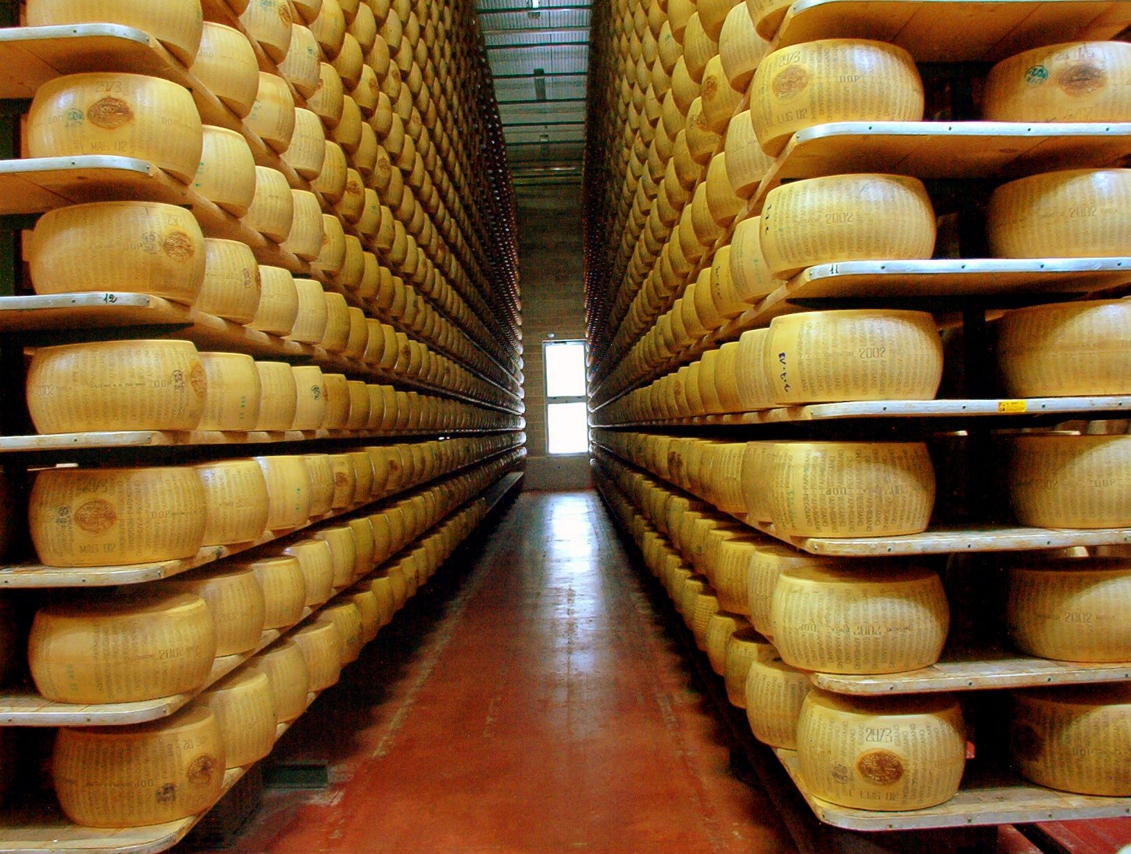 Olgunlaştırma deposunda raflara dizilmiş Parmigiano Reggiano tekerleri